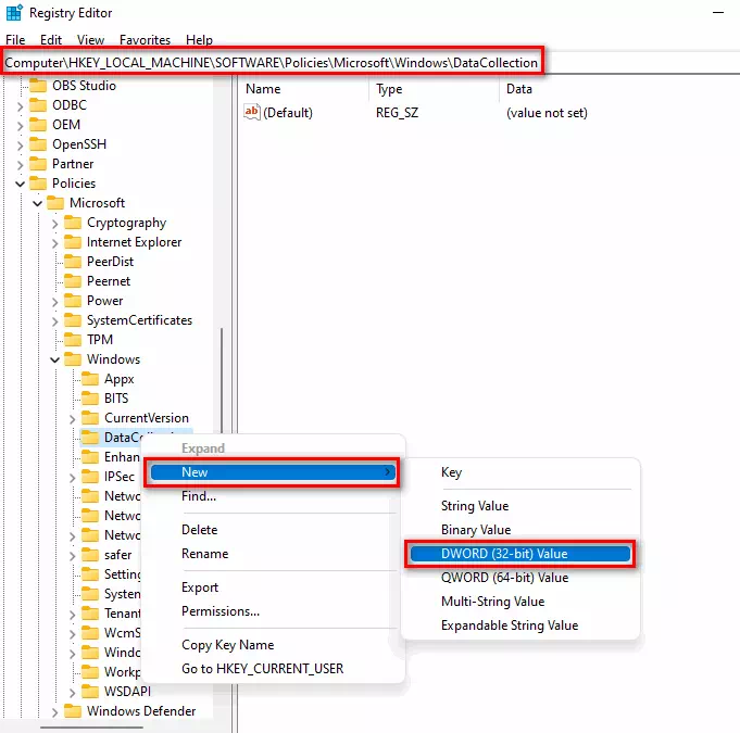 على الشريط الجانبي الأيسر ، انقر بزر الماوس الأيمن فوق مجلد DataCollection ، وانقر فوق New ، ثم على DWORD (32-bit value)